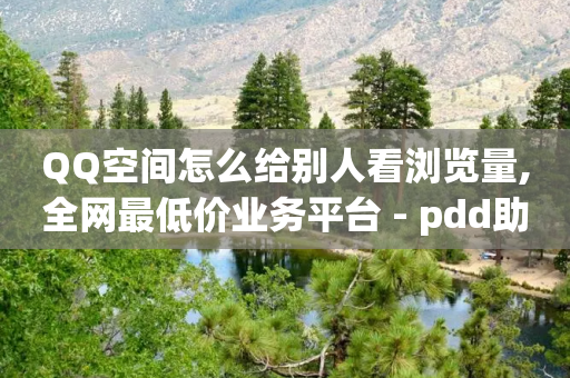 QQ空间怎么给别人看浏览量,全网最低价业务平台 - pdd助力网站免费 - 拼多多怎么报全网最低价