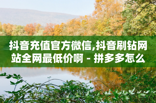 抖音充值官方微信,抖音刷钻网站全网最低价啊 - 拼多多怎么助力成功 - 拼多多有人砍价成功吗-第1张图片-靖非智能科技传媒