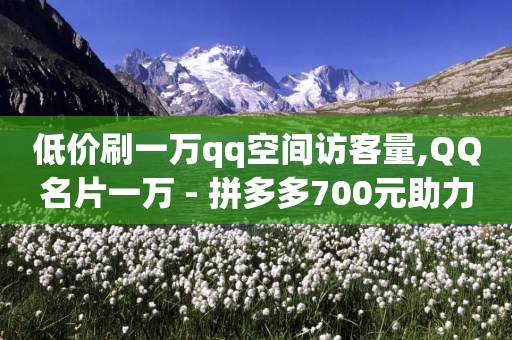 低价刷一万qq空间访客量,QQ名片一万 - 拼多多700元助力需要多少人 - 拼多多毕业季免费礼物最后