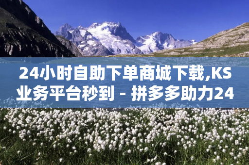 24小时自助下单商城下载,KS业务平台秒到 - 拼多多助力24小时 - 拼多多电商是什么意思-第1张图片-靖非智能科技传媒