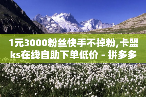 1元3000粉丝快手不掉粉,卡盟ks在线自助下单低价 - 拼多多怎么助力成功 - 拼多多砍价截图-第1张图片-靖非智能科技传媒