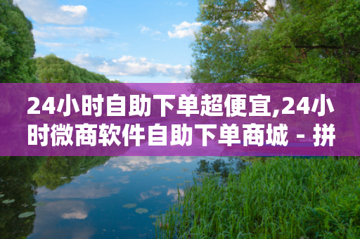 24小时自助下单超便宜,24小时微商软件自助下单商城 - 拼多多700元助力到元宝了 - 拼多多助力卖信息