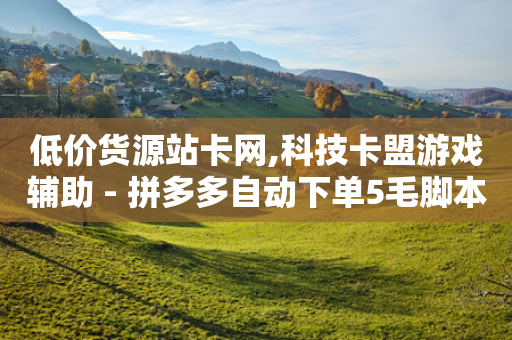 低价货源站卡网,科技卡盟游戏辅助 - 拼多多自动下单5毛脚本下载 - 现金大转盘福卡重复