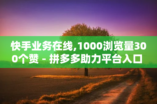 快手业务在线,1000浏览量300个赞 - 拼多多助力平台入口 - 拼多多砍刀助力平台-第1张图片-靖非智能科技传媒