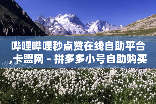 哔哩哔哩秒点赞在线自助平台,卡盟网 - 拼多多小号自助购买平台 - 如何在拼多多买便宜零食