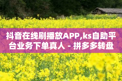 抖音在线刷播放APP,ks自助平台业务下单真人 - 拼多多转盘刷次数网站免费 - 拼夕夕积分后面还有吗