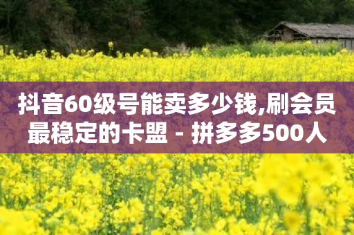 抖音60级号能卖多少钱,刷会员最稳定的卡盟 - 拼多多500人互助群 - 拼多多砍一刀6w人没成功