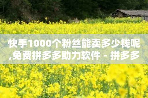 快手1000个粉丝能卖多少钱呢,免费拼多多助力软件 - 拼多多刷助力软件 - 拼多多无缘无故自己下单-第1张图片-靖非智能科技传媒