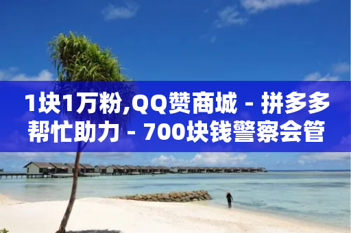 1块1万粉,QQ赞商城 - 拼多多帮忙助力 - 700块钱警察会管吗-第1张图片-靖非智能科技传媒