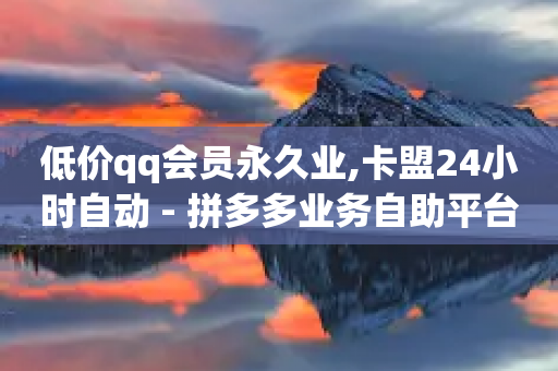 低价qq会员永久业,卡盟24小时自动 - 拼多多业务自助平台 - 拼多多100元购物补贴金入口-第1张图片-靖非智能科技传媒