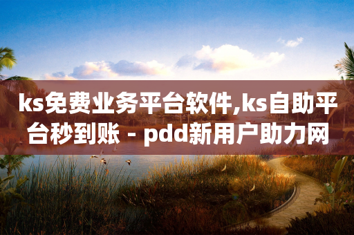 ks免费业务平台软件,ks自助平台秒到账 - pdd新用户助力网站 - 拼多多不能在电脑上用吗