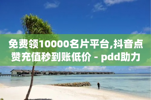 免费领10000名片平台,抖音点赞充值秒到账低价 - pdd助力购买 - 拼单app的目标市场