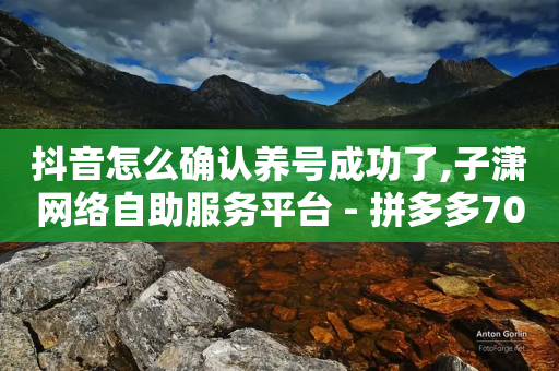 抖音怎么确认养号成功了,子潇网络自助服务平台 - 拼多多700元助力需要多少人 - QQ互助助力群最新-第1张图片-靖非智能科技传媒