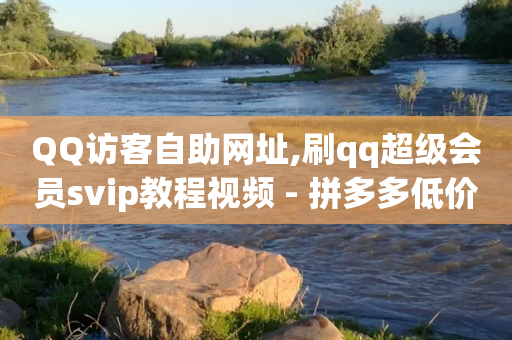 QQ访客自助网址,刷qq超级会员svip教程视频 - 拼多多低价助力 - 拼多多联盟推广官网入口