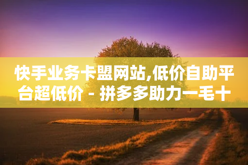 快手业务卡盟网站,低价自助平台超低价 - 拼多多助力一毛十刀网站 - 拼多多自动脚本