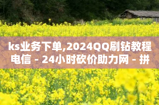 ks业务下单,2024QQ刷钻教程电信 - 24小时砍价助力网 - 拼多多自动下单脚本