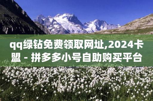 qq绿钻免费领取网址,2024卡盟 - 拼多多小号自助购买平台 - 如何找到商品链接-第1张图片-靖非智能科技传媒