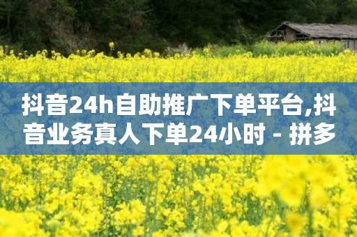 抖音24h自助推广下单平台,抖音业务真人下单24小时 - 拼多多刷助力 - 拼多多发布任务软件