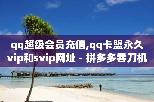 qq超级会员充值,qq卡盟永久vip和svip网址 - 拼多多吞刀机制 - 拼多多新用户吞刀怎么解决