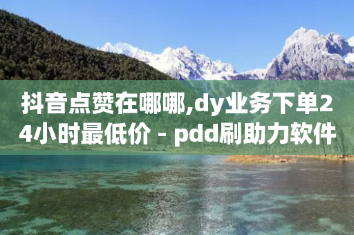 抖音点赞在哪哪,dy业务下单24小时最低价 - pdd刷助力软件 - 拼多多怎么买销量和评论