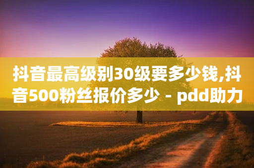 抖音最高级别30级要多少钱,抖音500粉丝报价多少 - pdd助力平台网站 - 拼多多的助力群怎么解决