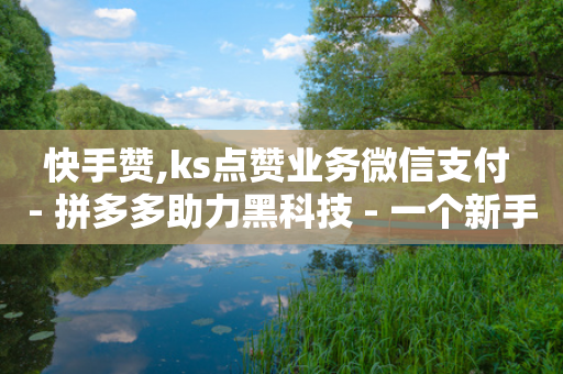 快手赞,ks点赞业务微信支付 - 拼多多助力黑科技 - 一个新手怎么做电商-第1张图片-靖非智能科技传媒