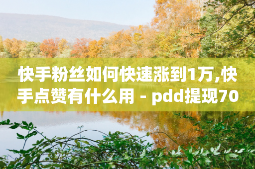 快手粉丝如何快速涨到1万,快手点赞有什么用 - pdd提现700套路最后一步 - 拼多多砍价群-第1张图片-靖非智能科技传媒