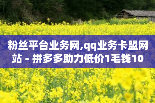 粉丝平台业务网,qq业务卡盟网站 - 拼多多助力低价1毛钱10个 - 0.01碎片需要多少人助力