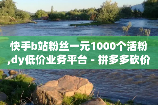 快手b站粉丝一元1000个活粉,dy低价业务平台 - 拼多多砍价免费拿商品 - 0.01个钻石后面还有吗-第1张图片-靖非智能科技传媒