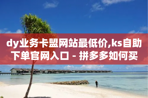 dy业务卡盟网站最低价,ks自助下单官网入口 - 拼多多如何买助力 - pdd机刷助力