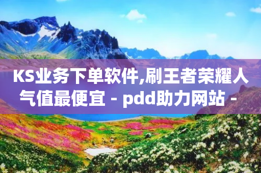 KS业务下单软件,刷王者荣耀人气值最便宜 - pdd助力网站 - 拼多多转盘举报有用吗