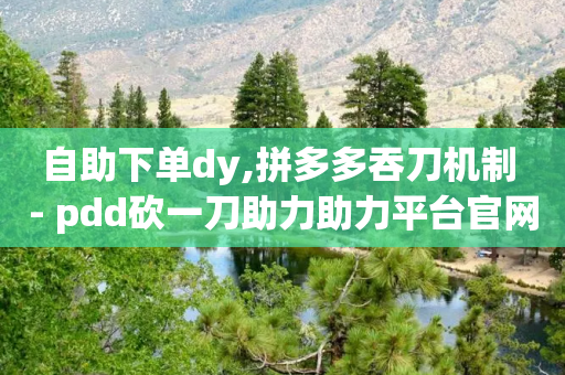 自助下单dy,拼多多吞刀机制 - pdd砍一刀助力助力平台官网 - 众人帮改名了吗-第1张图片-靖非智能科技传媒