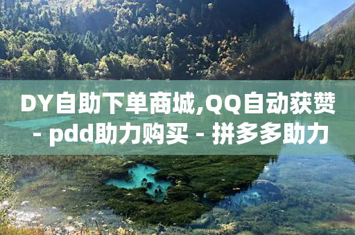 DY自助下单商城,QQ自动获赞 - pdd助力购买 - 拼多多助力被网贷真的吗