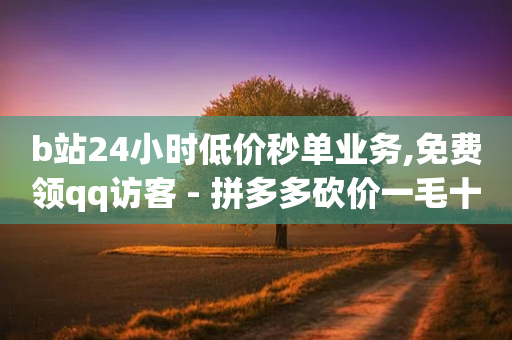 b站24小时低价秒单业务,免费领qq访客 - 拼多多砍价一毛十刀网站靠谱吗 - 拼多多匹配讲解视频要钱吗-第1张图片-靖非智能科技传媒