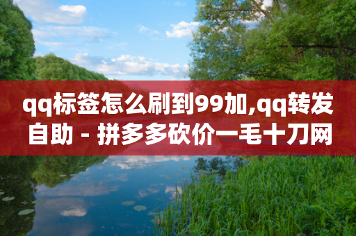 qq标签怎么刷到99加,qq转发自助 - 拼多多砍价一毛十刀网站靠谱吗 - 50元的拼多多最多能提现多少