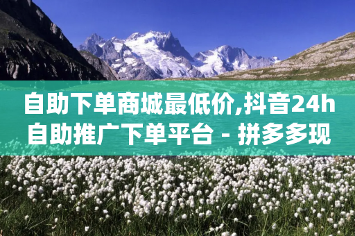 自助下单商城最低价,抖音24h自助推广下单平台 - 拼多多现金大转盘助力 - pdd刷助力-第1张图片-靖非智能科技传媒