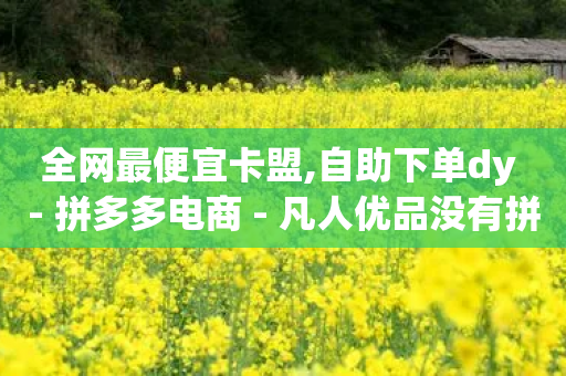 全网最便宜卡盟,自助下单dy - 拼多多电商 - 凡人优品没有拼多多吗