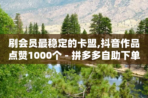 刷会员最稳定的卡盟,抖音作品点赞1000个 - 拼多多自助下单全网最便宜 - 拼多多万能推流码-第1张图片-靖非智能科技传媒