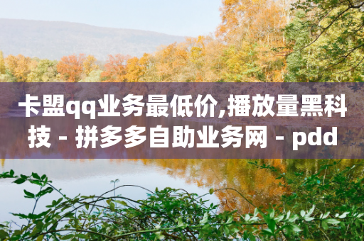 卡盟qq业务最低价,播放量黑科技 - 拼多多自助业务网 - pdd未提现成功会暴露个人信息吗-第1张图片-靖非智能科技传媒