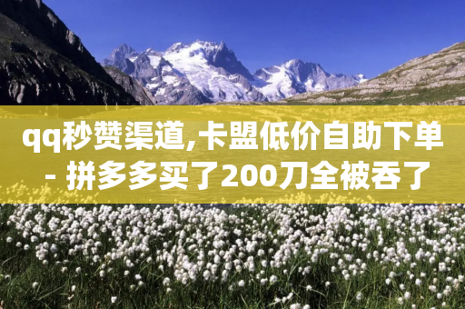 qq秒赞渠道,卡盟低价自助下单 - 拼多多买了200刀全被吞了 - 拼多多返利软件哪个最好-第1张图片-靖非智能科技传媒