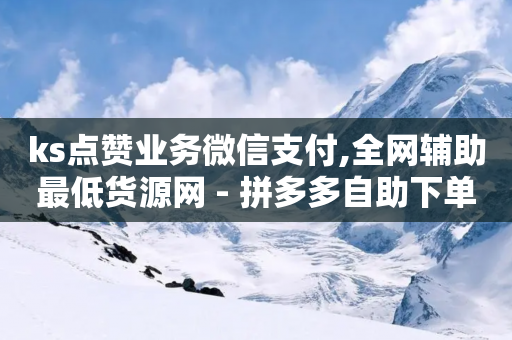 ks点赞业务微信支付,全网辅助最低货源网 - 拼多多自助下单全网最便宜 - 在线助力-第1张图片-靖非智能科技传媒