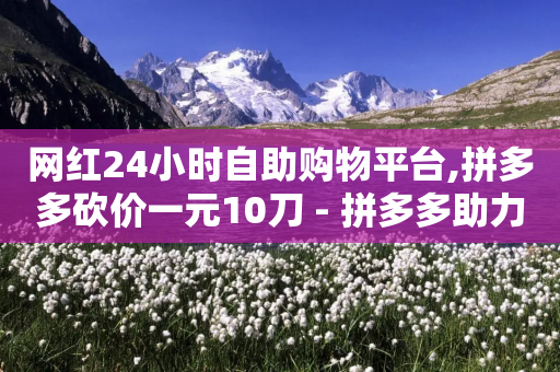 网红24小时自助购物平台,拼多多砍价一元10刀 - 拼多多助力软件免费 - 拼多多助力快权益-第1张图片-靖非智能科技传媒