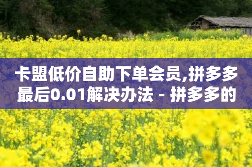 卡盟低价自助下单会员,拼多多最后0.01解决办法 - 拼多多的软件 - 拼多多100元需要多少人助力-第1张图片-靖非智能科技传媒