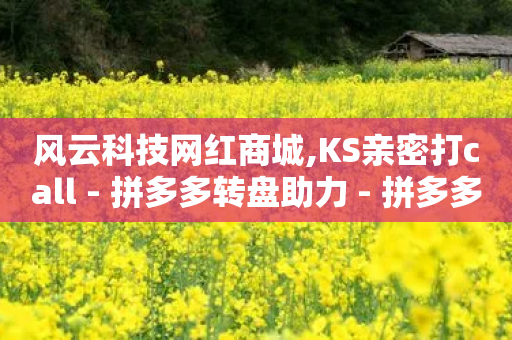 风云科技网红商城,KS亲密打call - 拼多多转盘助力 - 拼多多600元要看要几个助力-第1张图片-靖非智能科技传媒