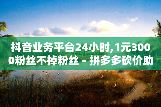 抖音业务平台24小时,1元3000粉丝不掉粉丝 - 拼多多砍价助力助手 - 拼多多提现700到20个元宝-第1张图片-靖非智能科技传媒