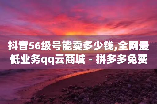 抖音56级号能卖多少钱,全网最低业务qq云商城 - 拼多多免费一键助力神器 - 拼多多助力网站免费领取-第1张图片-靖非智能科技传媒