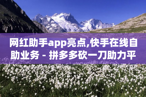 网红助手app亮点,快手在线自助业务 - 拼多多砍一刀助力平台网站 - 微信现金大转盘要多少人-第1张图片-靖非智能科技传媒