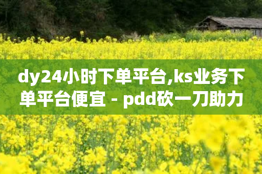 dy24小时下单平台,ks业务下单平台便宜 - pdd砍一刀助力助力平台官网 - 拼多多福利官助力