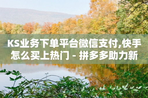 KS业务下单平台微信支付,快手怎么买上热门 - 拼多多助力新用户网站 - 拼多多怎么搞劵