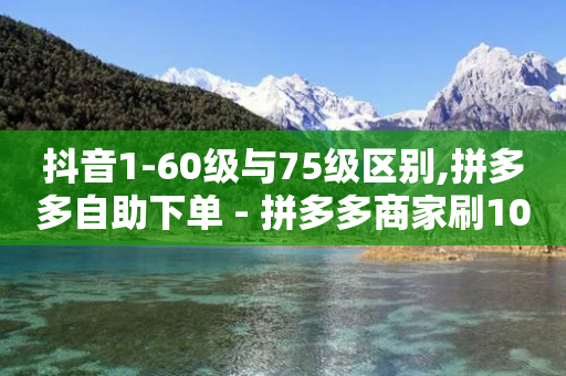 抖音1-60级与75级区别,拼多多自助下单 - 拼多多商家刷10万销量 - 拼多多邀请一个新用户怎么弄-第1张图片-靖非智能科技传媒